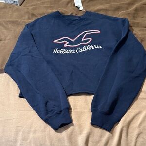 Hollister Navy Crew Neck Sweater